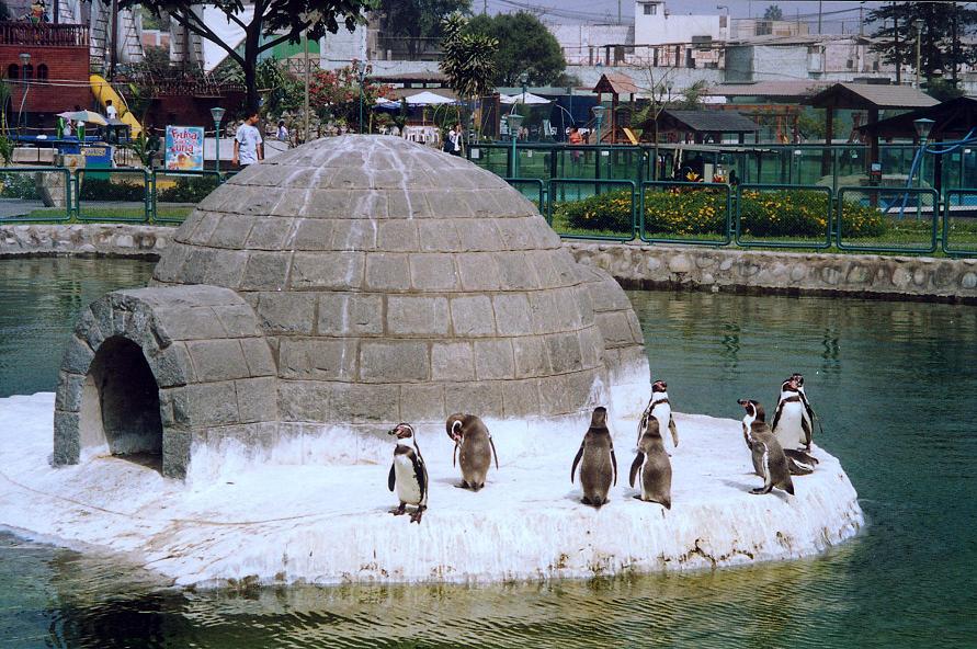 parque zoológico Huachipa