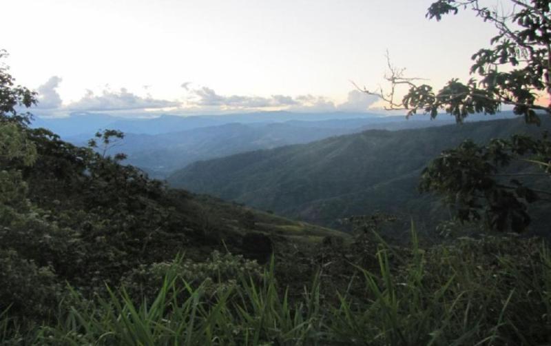 El Bosque de Protección Puquio Santa Rosa