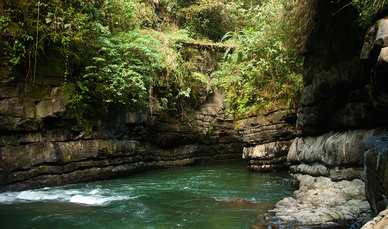 El Santuario Nacional Pampa Hermosa se encuentra ubicado en la región Junín cubre gran parte de la selva central del Perú