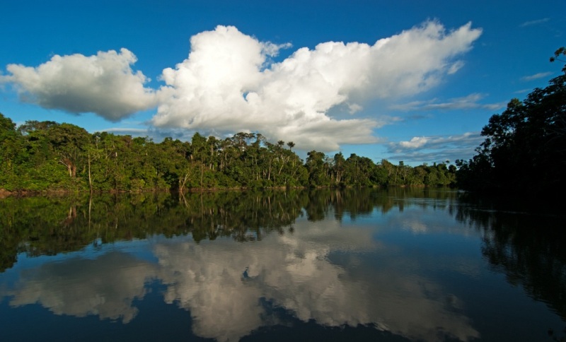 La Reserva Nacional Pucacuro (Loreto) conserva ecosistemas esenciales de la Amazonía.
